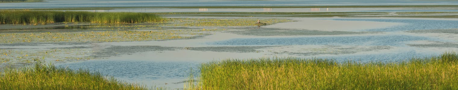 Louisiana SAFE—Resilience Strategies for Local Parishes