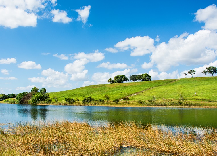 Remediation &#038; Technical Solutions