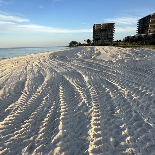 Pinellas County Dune Restoration