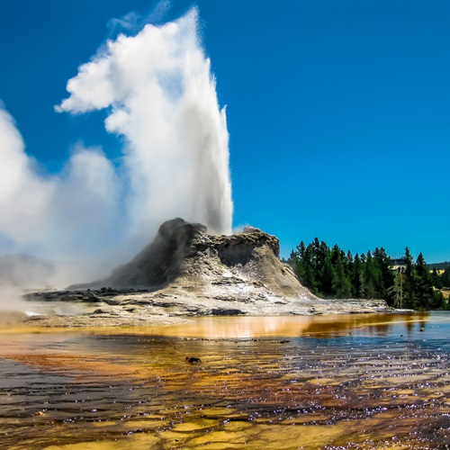 Yellowstone National Park Sustainability Audits