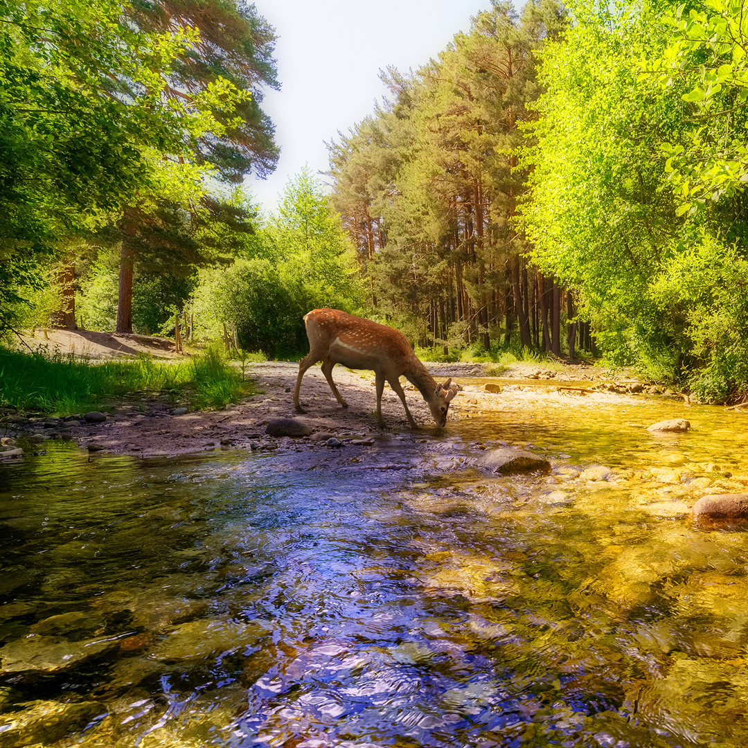 2026 PFAS Forecast: Regulatory Trends, Risk & Preparation Strategies